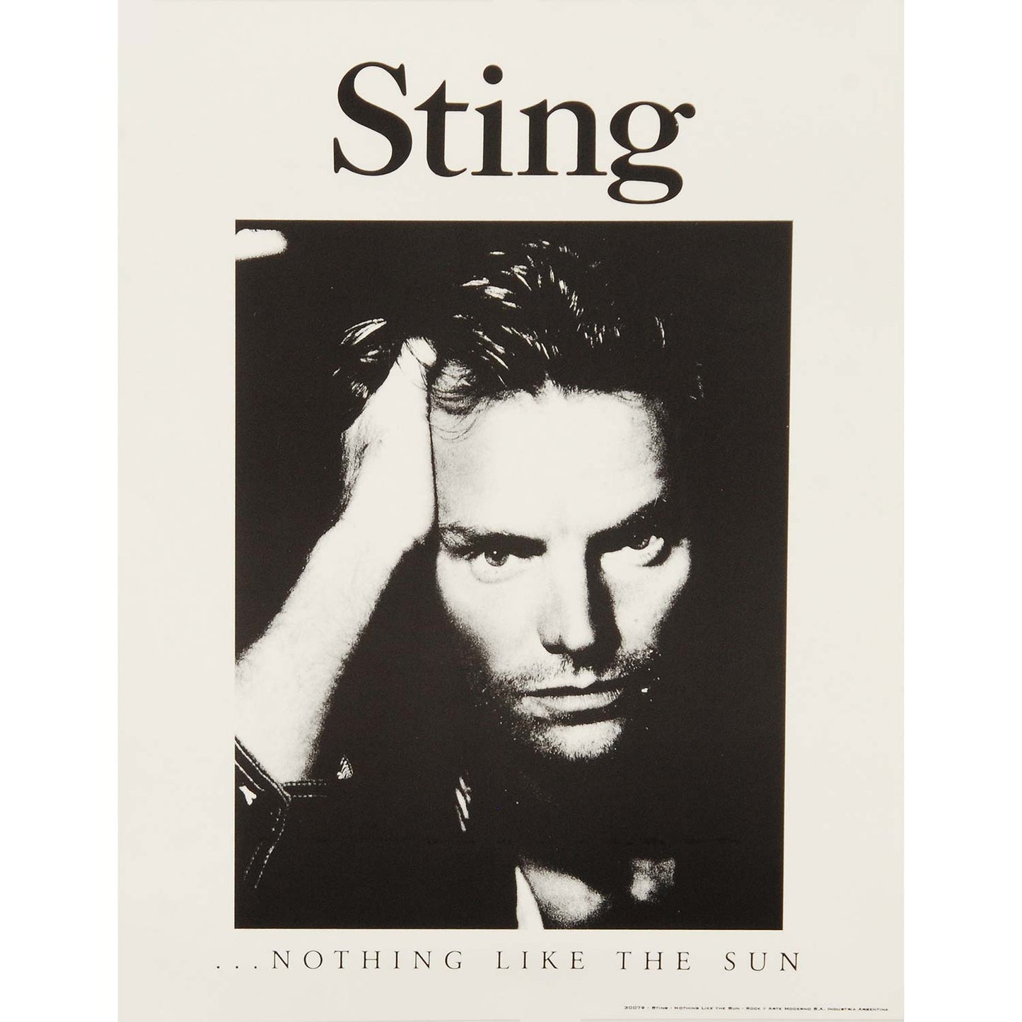 Sting Nothing Like The Sun Import Poster