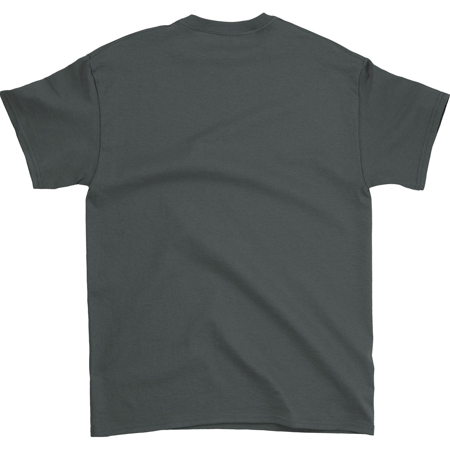 Pixies Monkey Grid Tee T-shirt Back