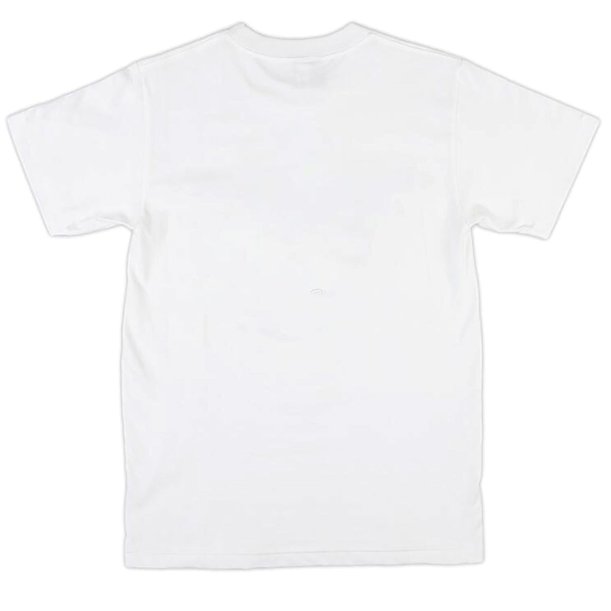Nirvana Standing T-shirt Back