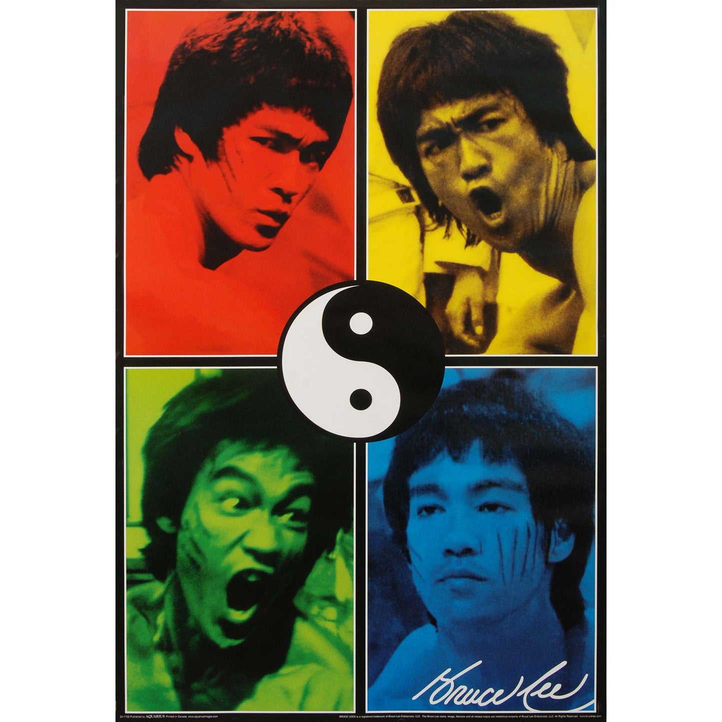 Bruce Lee Colors Domestic Poster