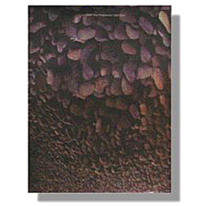 Jamiroquai Synkronized Tour Book Back