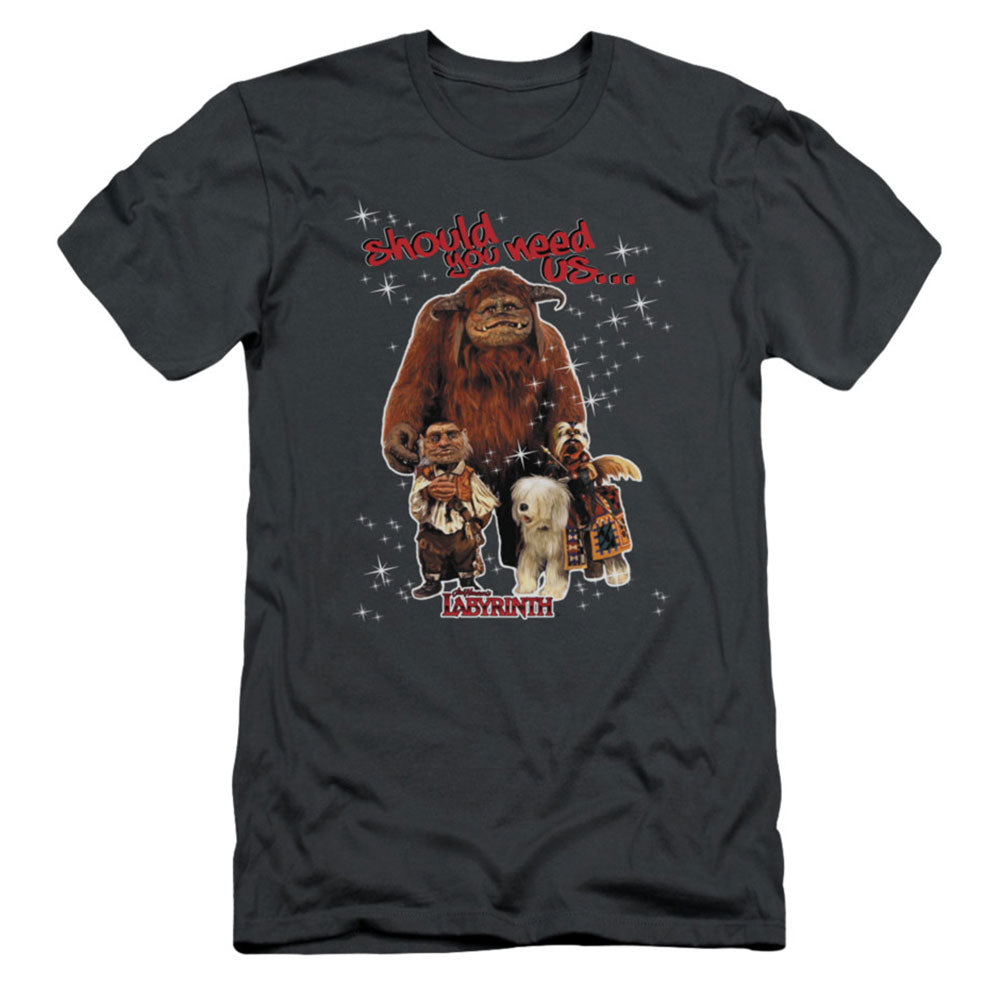 Labyrinth Should You Need Us Slim Fit T-shirt Front