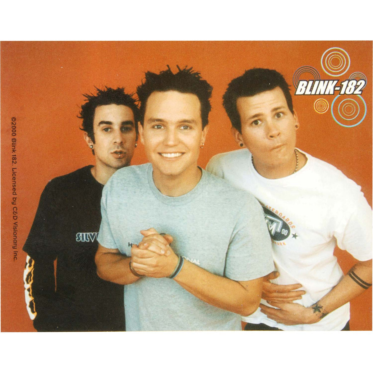Blink 182 Group Photo ( 4.75" x 3.75" ) Sticker Front