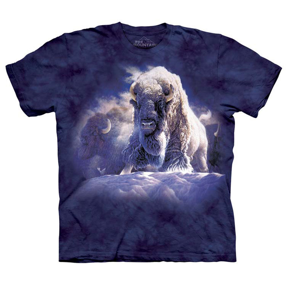 The Mountain His Divine Presence T-shirt