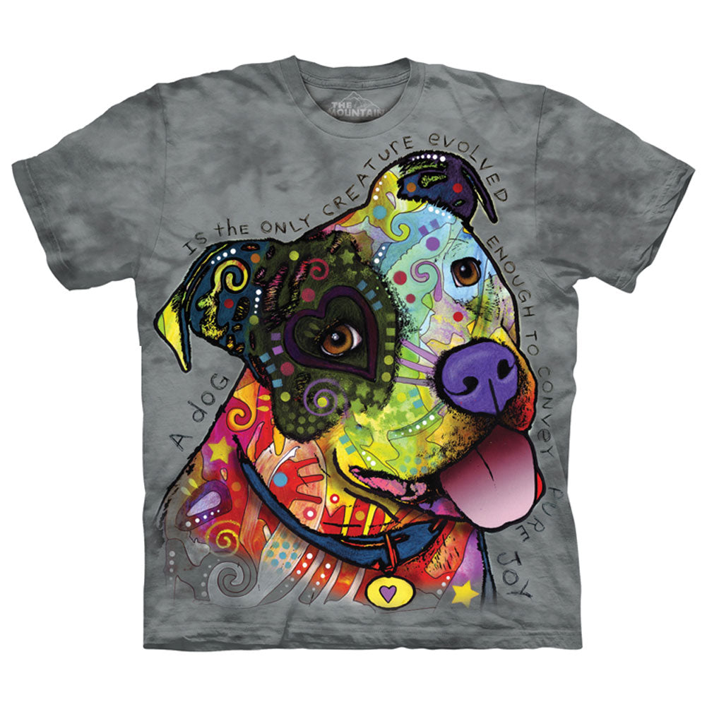 The Mountain Pure Joy T-shirt