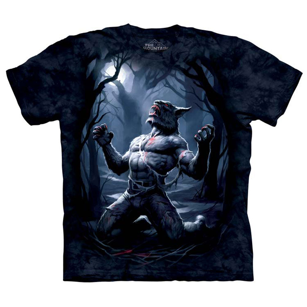 The Mountain Transformation T-shirt