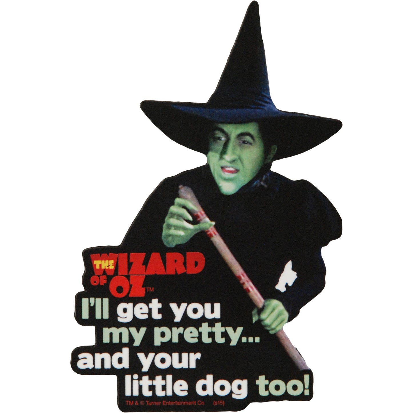 Witch Magnet