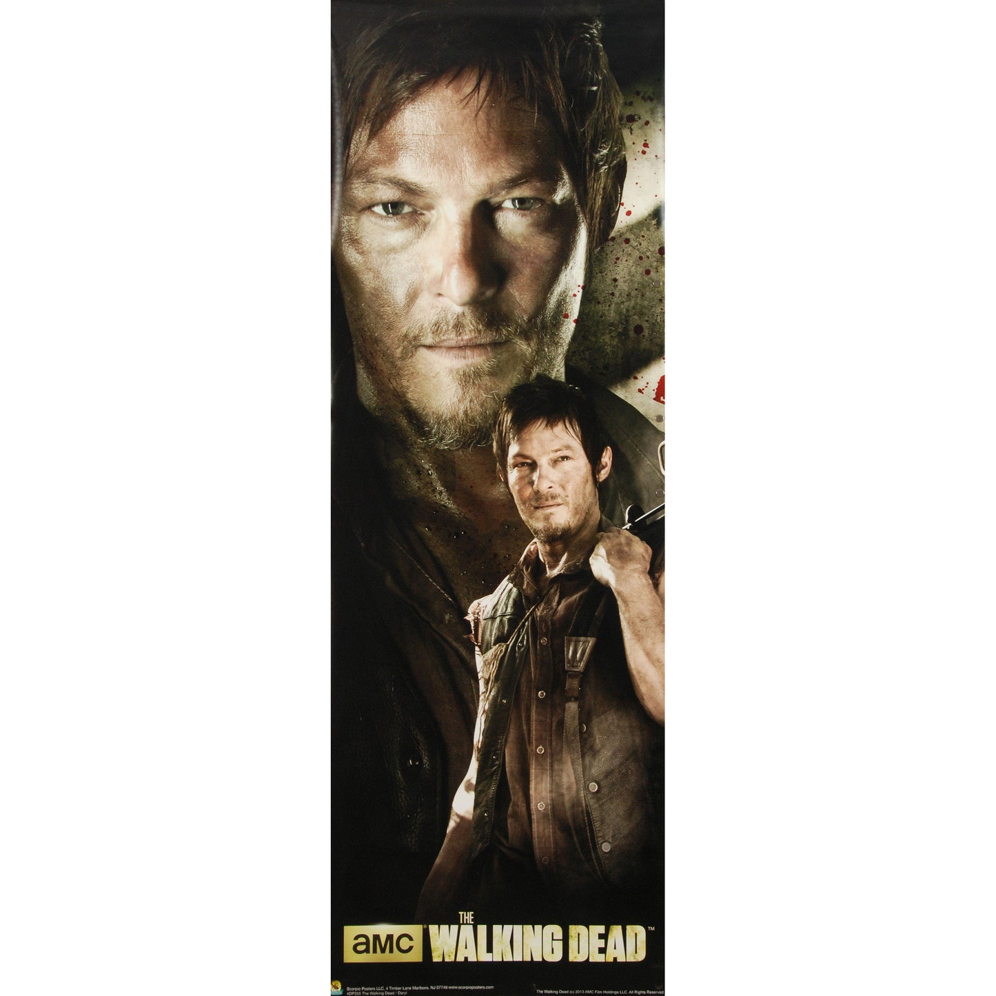 Walking Dead Daryl Door Poster