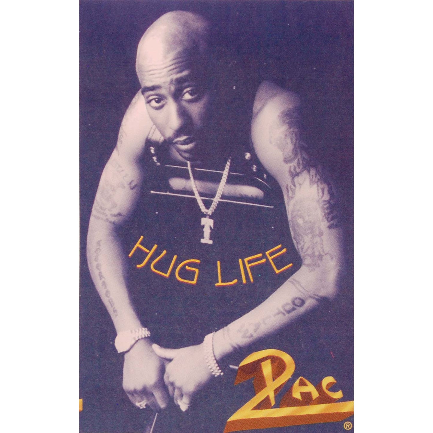 Tupac Hug Life Sticker Front