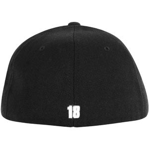 Moby NASA Logo Baseball Cap Back