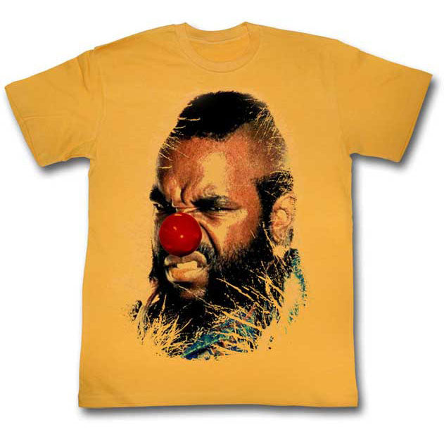 Mr. T Why Must I T-shirt Front