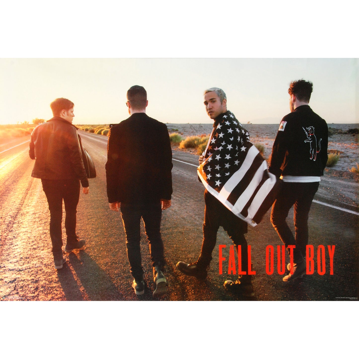 Fall Out Boy FOB Domestic Poster