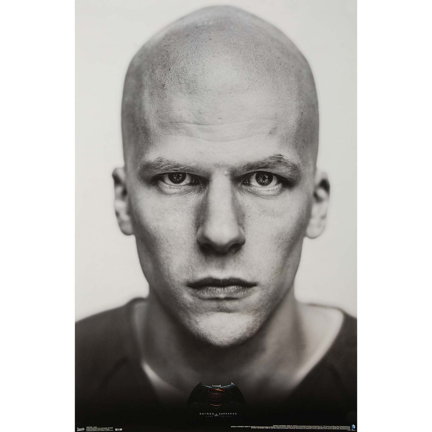 Batman v Superman: Dawn Of Justice Luthor Domestic Poster