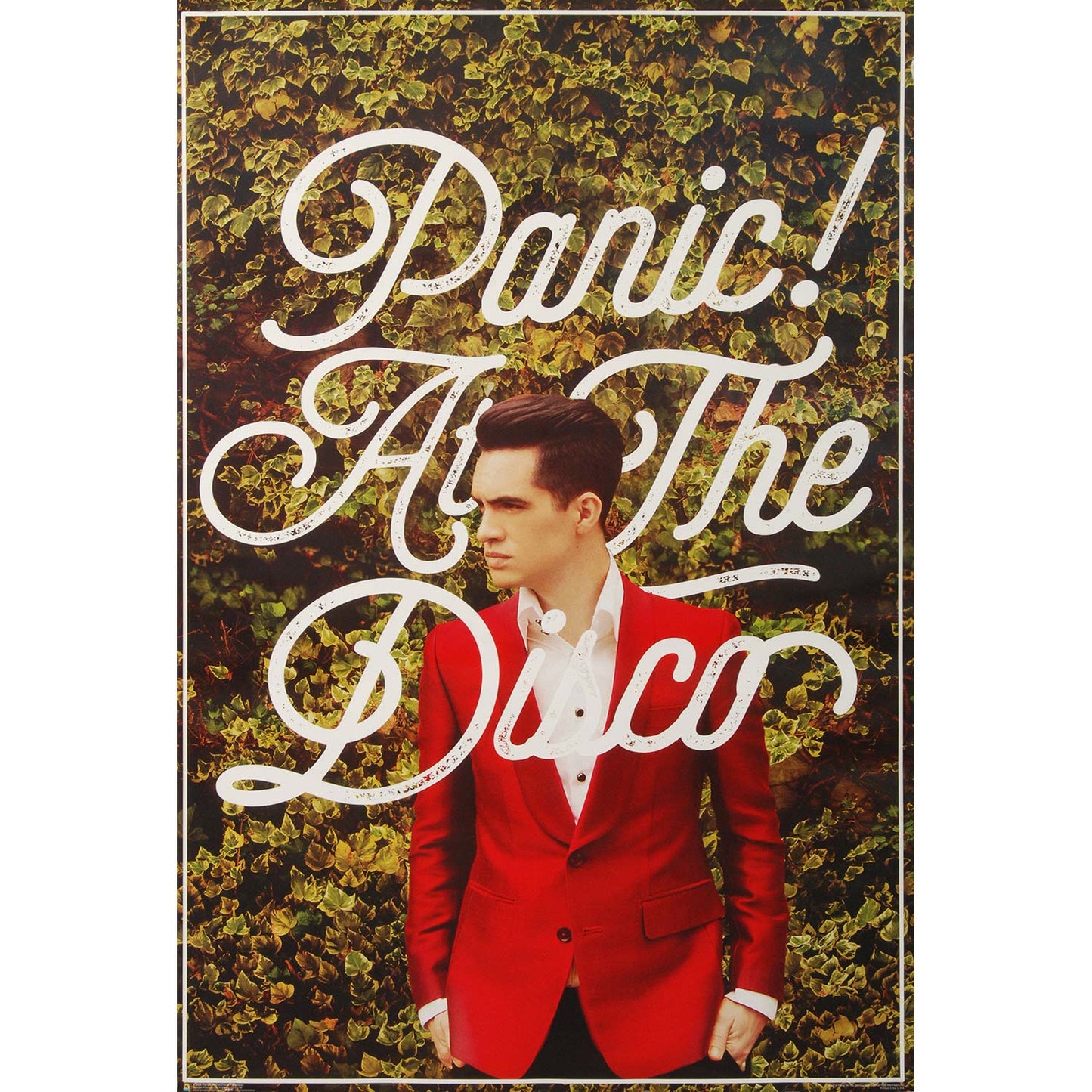 Panic! At The Disco PATD Domestic Poster