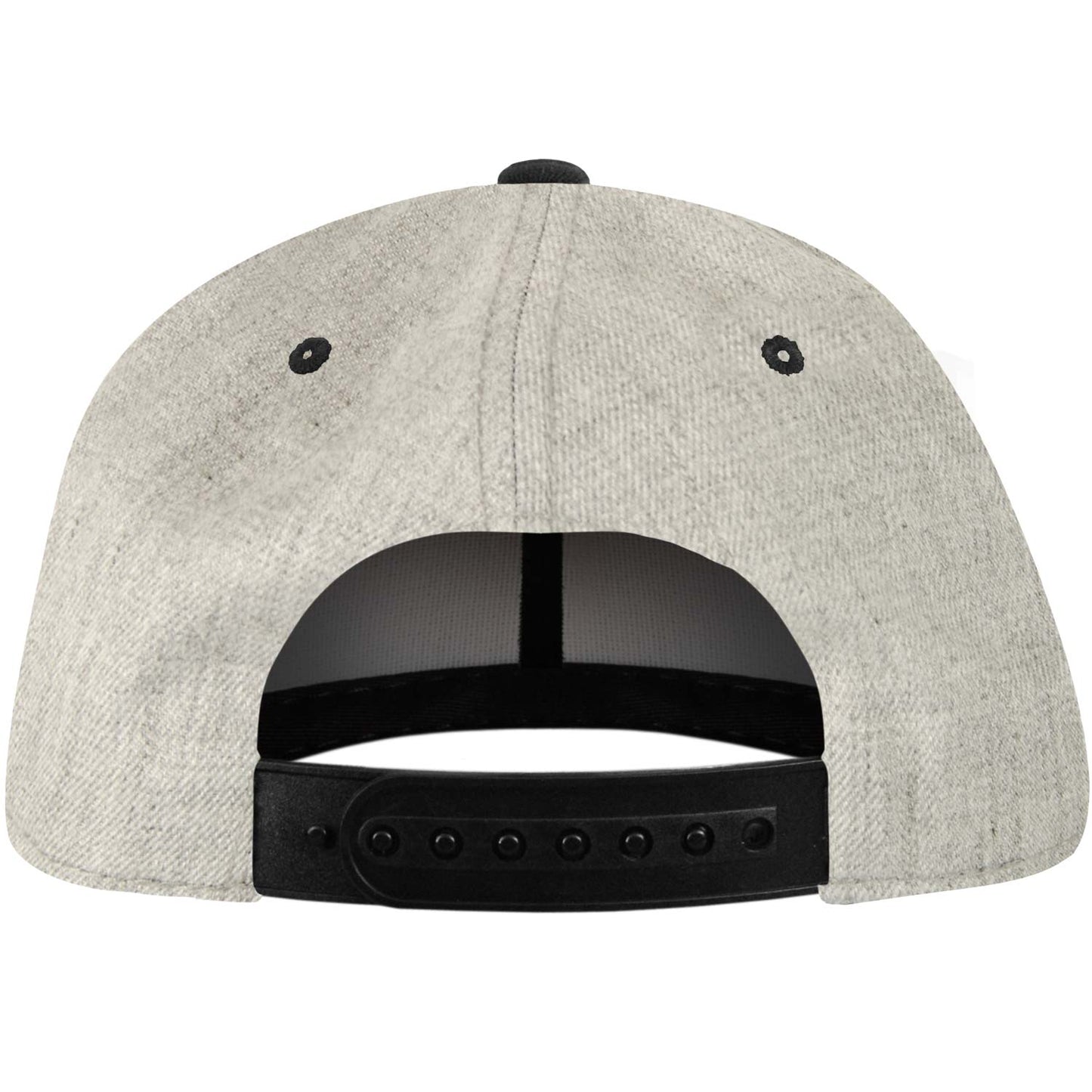 Aquabats Bat Snapback Hat Baseball Cap Back