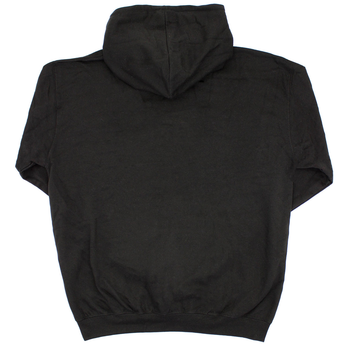 Pink Floyd Carnegie Hall Poster Hooded Sweatshirt Back
