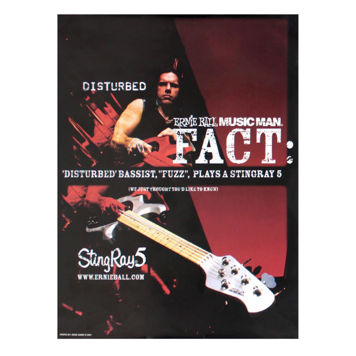 Fact Concert Promo Poster