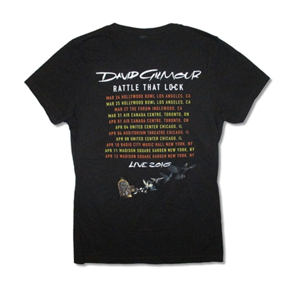David Gilmour Brush Stroke 2016 Tour Junior Top