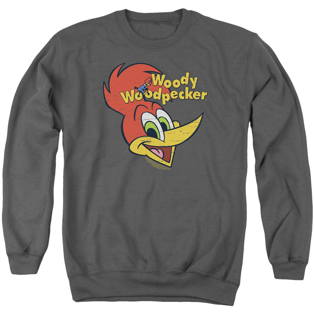 Woody Woodpecker Retro Logo Adult Sweatshirt Front