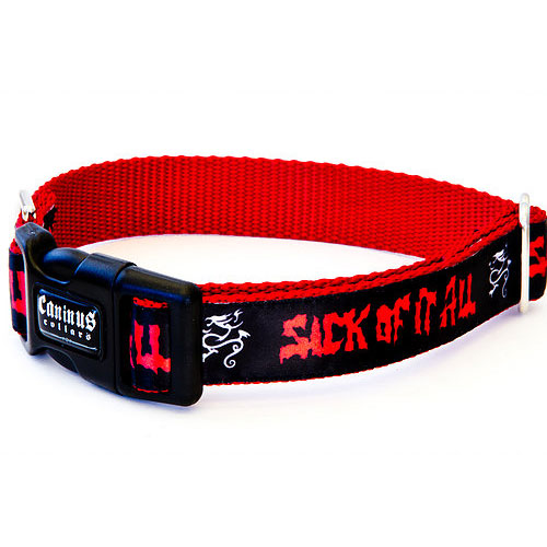 Sick Of It All Dragon 1 Inch Collar Pet Wear