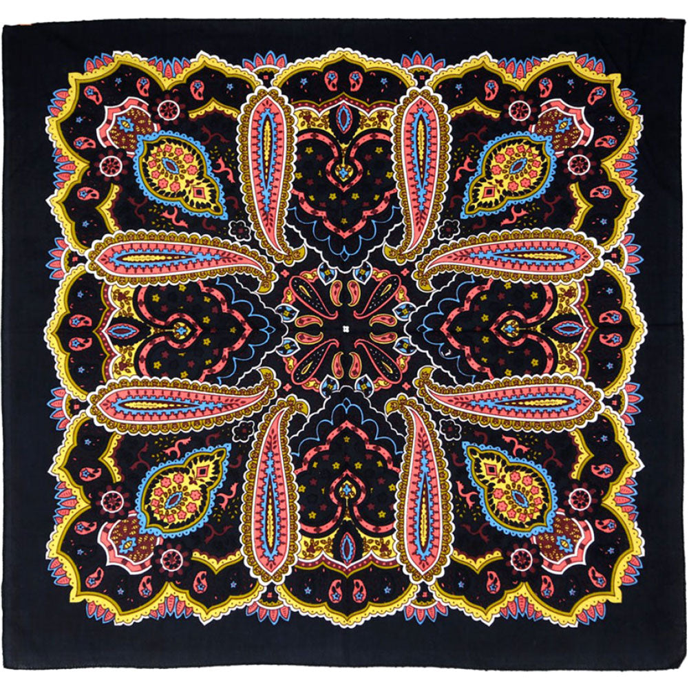 Novelty Paisley Bandana Front