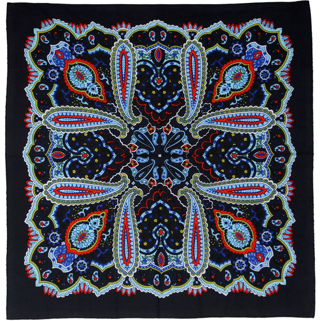 Novelty Paisley Bandana Front