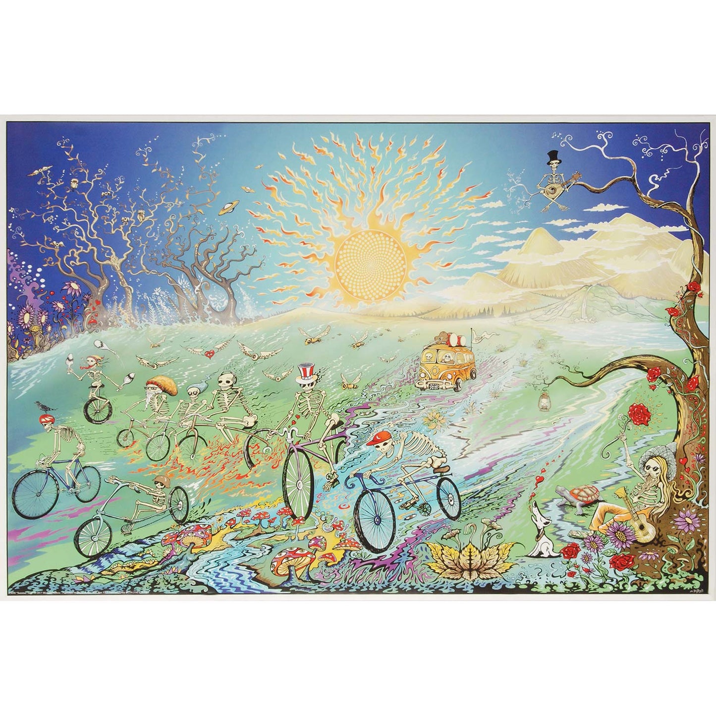 Grateful Dead Summer Tour Domestic Poster