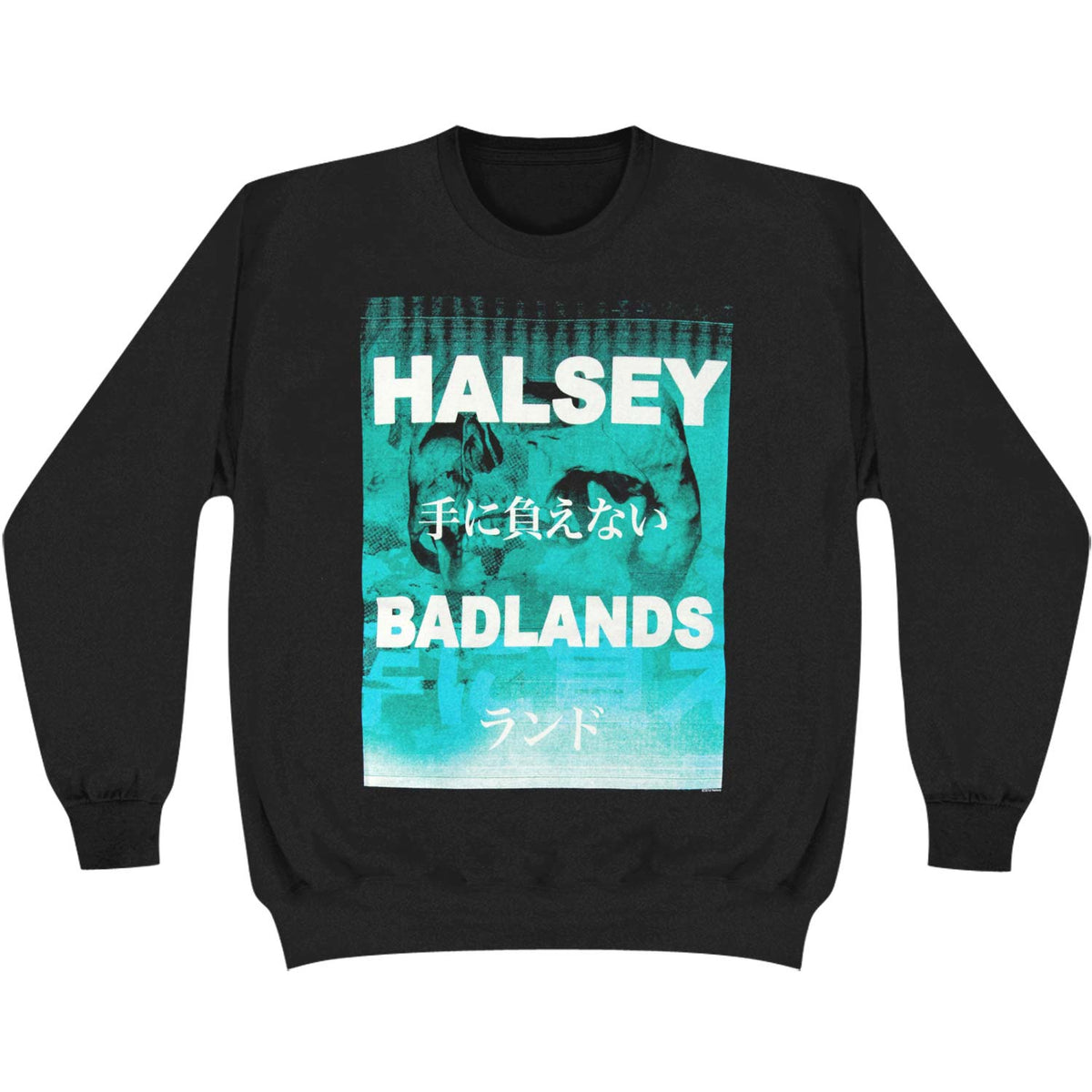 Halsey Badlands Sweatshirt Front