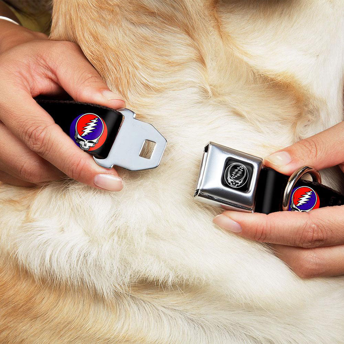 1 1/2 Inch Wide Large Dog Collar/SYF Pet Wear