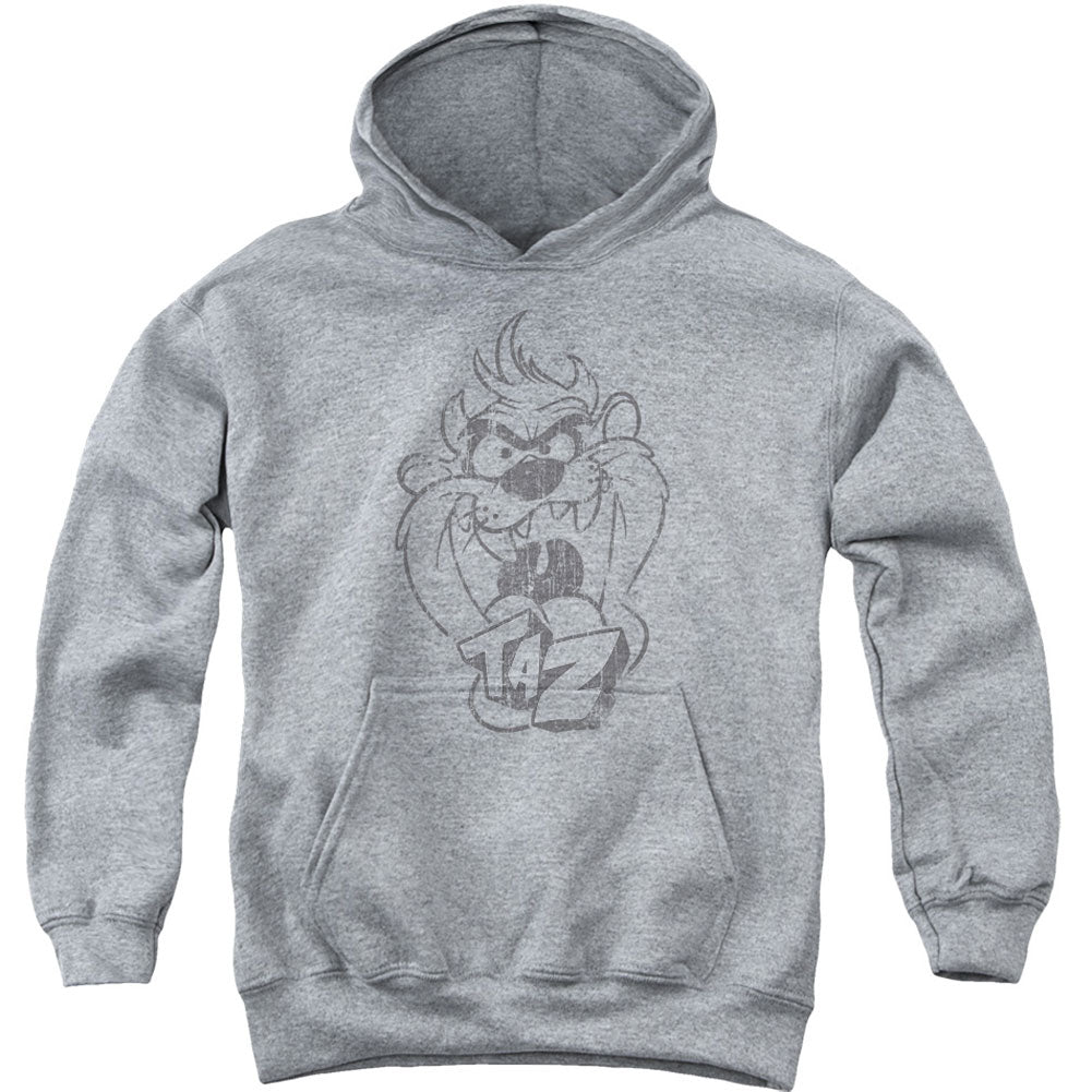 Looney Tunes Faded Taz Youth 50% Poly Hooded Sweatshirt Front