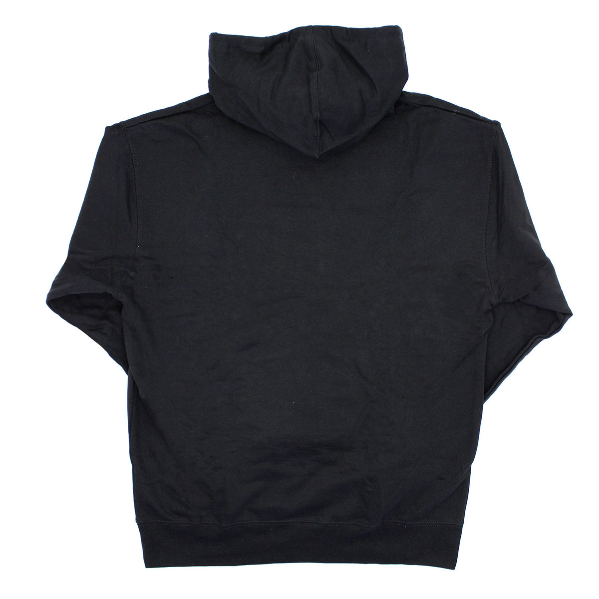 Mastodon Remission Logo Hooded Sweatshirt Back