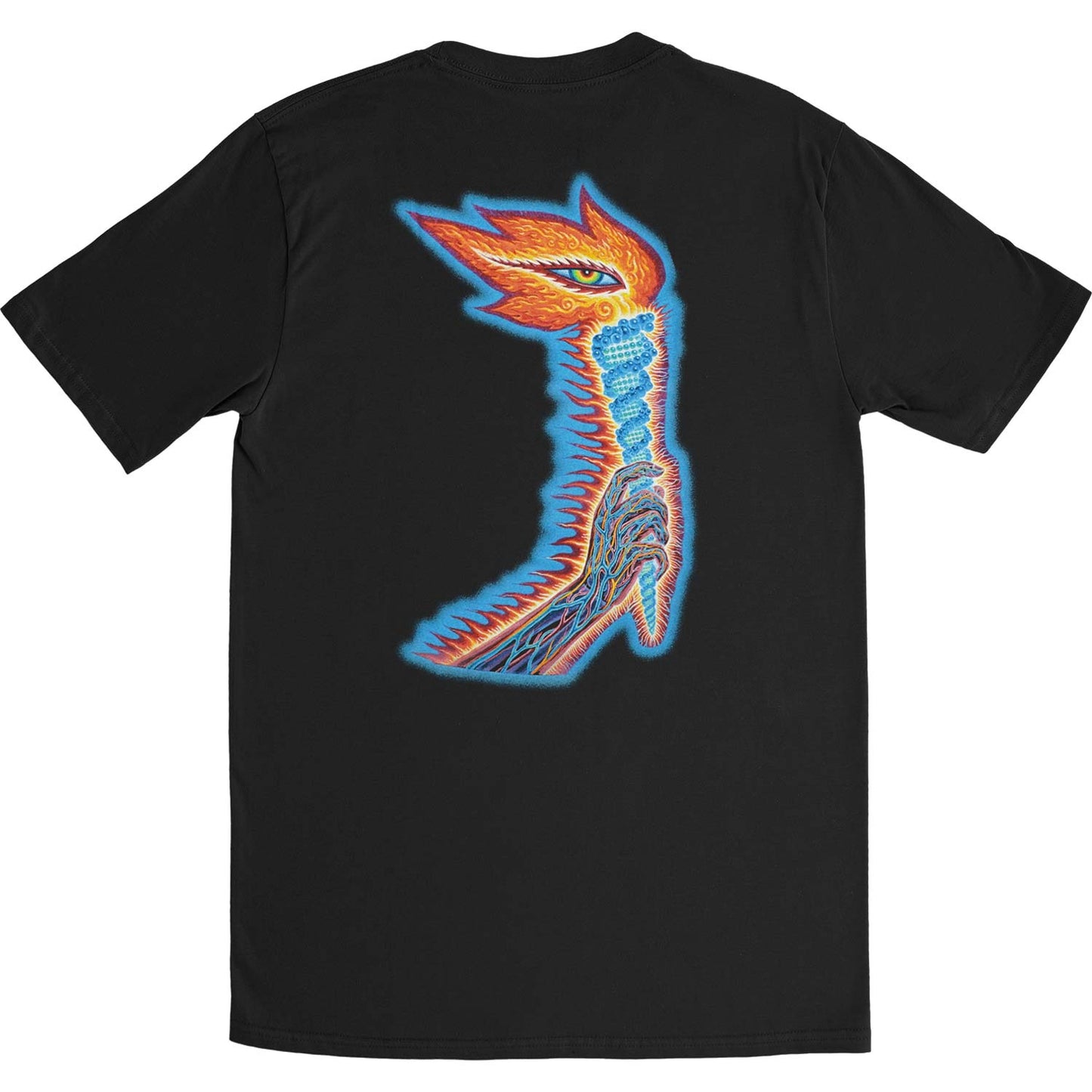 Tool The Torch (Back & Sleeve Print) Slim Fit T-shirt Back