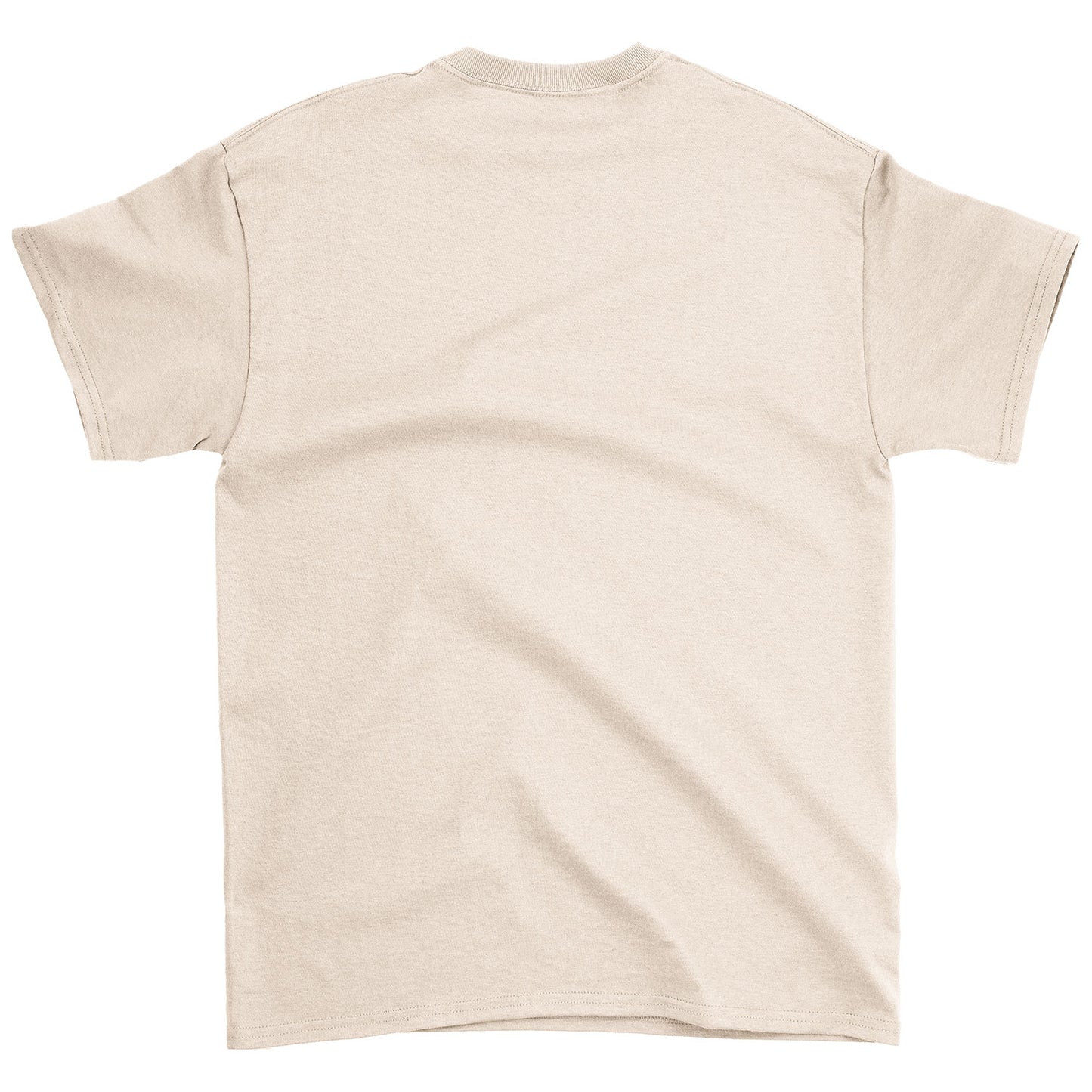 Aerosmith Classic Logo T-shirt Back