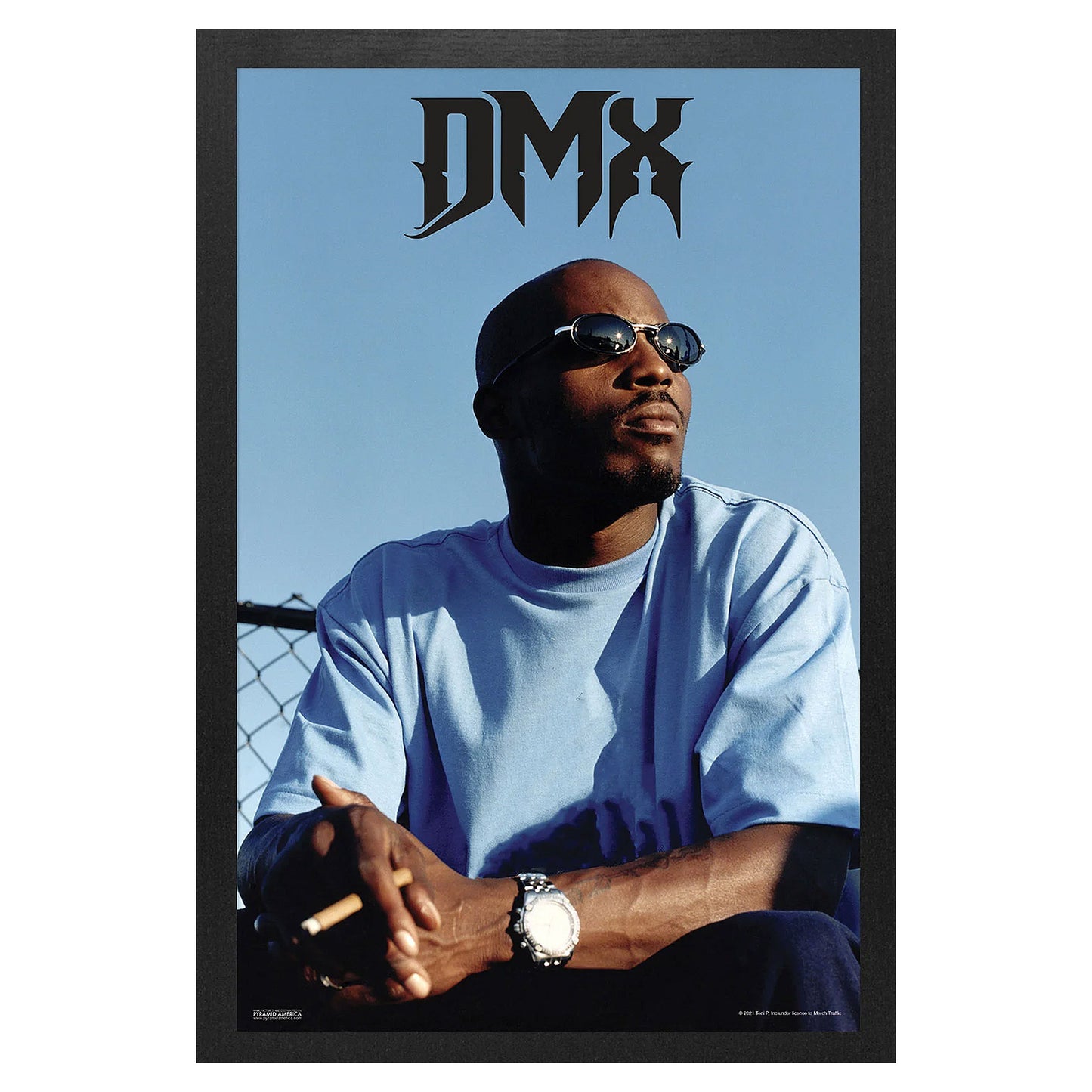 DMX Shades Framed Wall Art Front