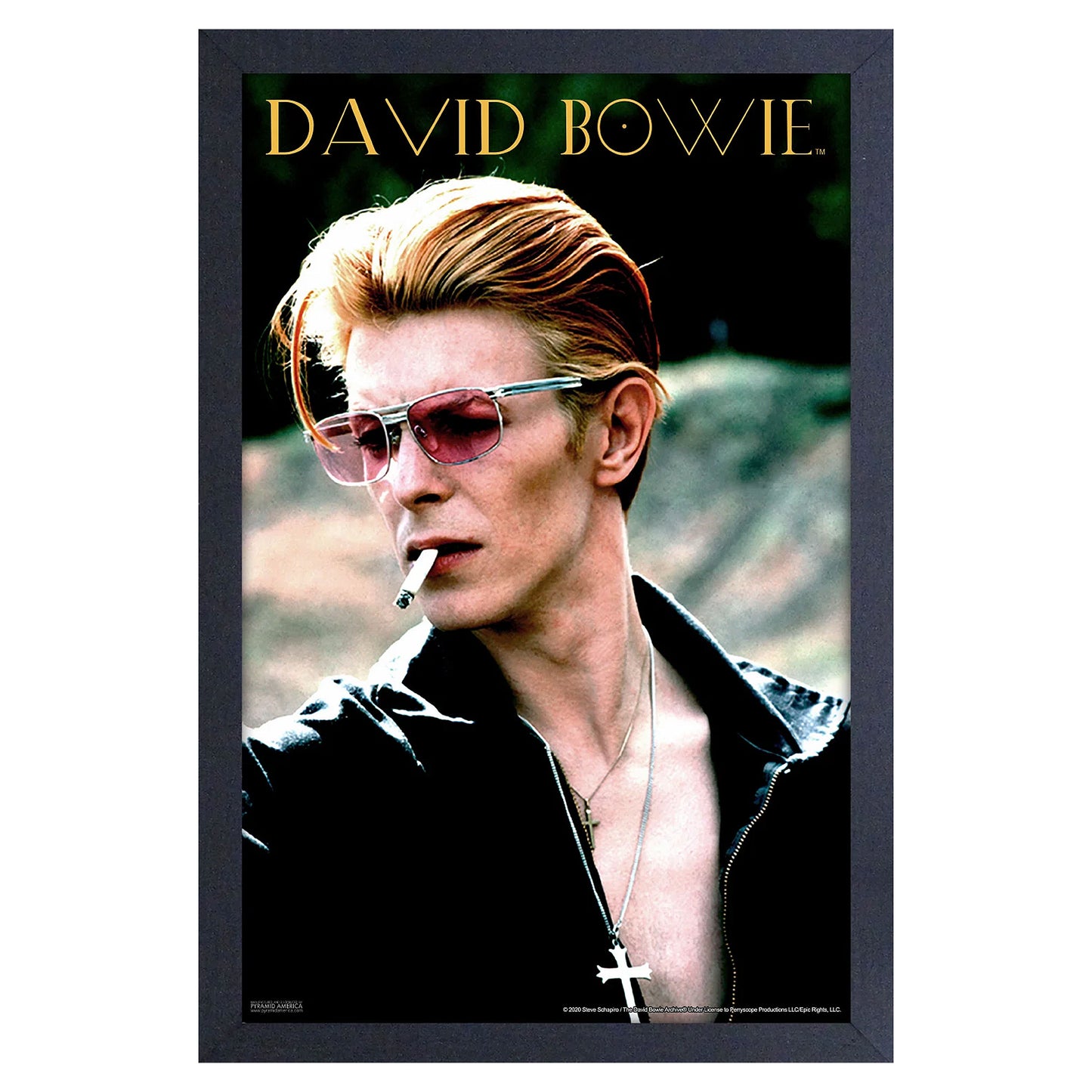 Portrait Smoking Framed Wall Art