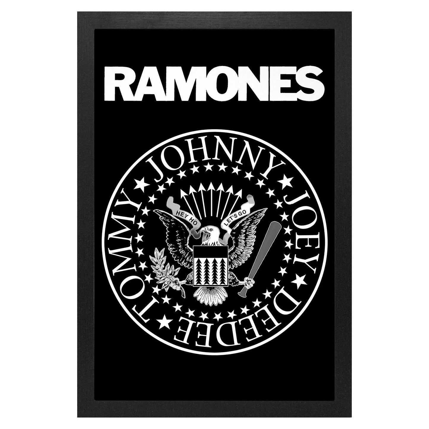 Band Seal Framed Wall Art