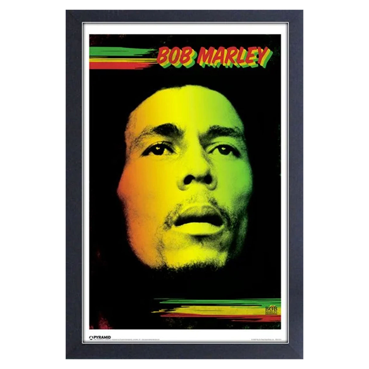 Bob Marley Face Framed Wall Art Front