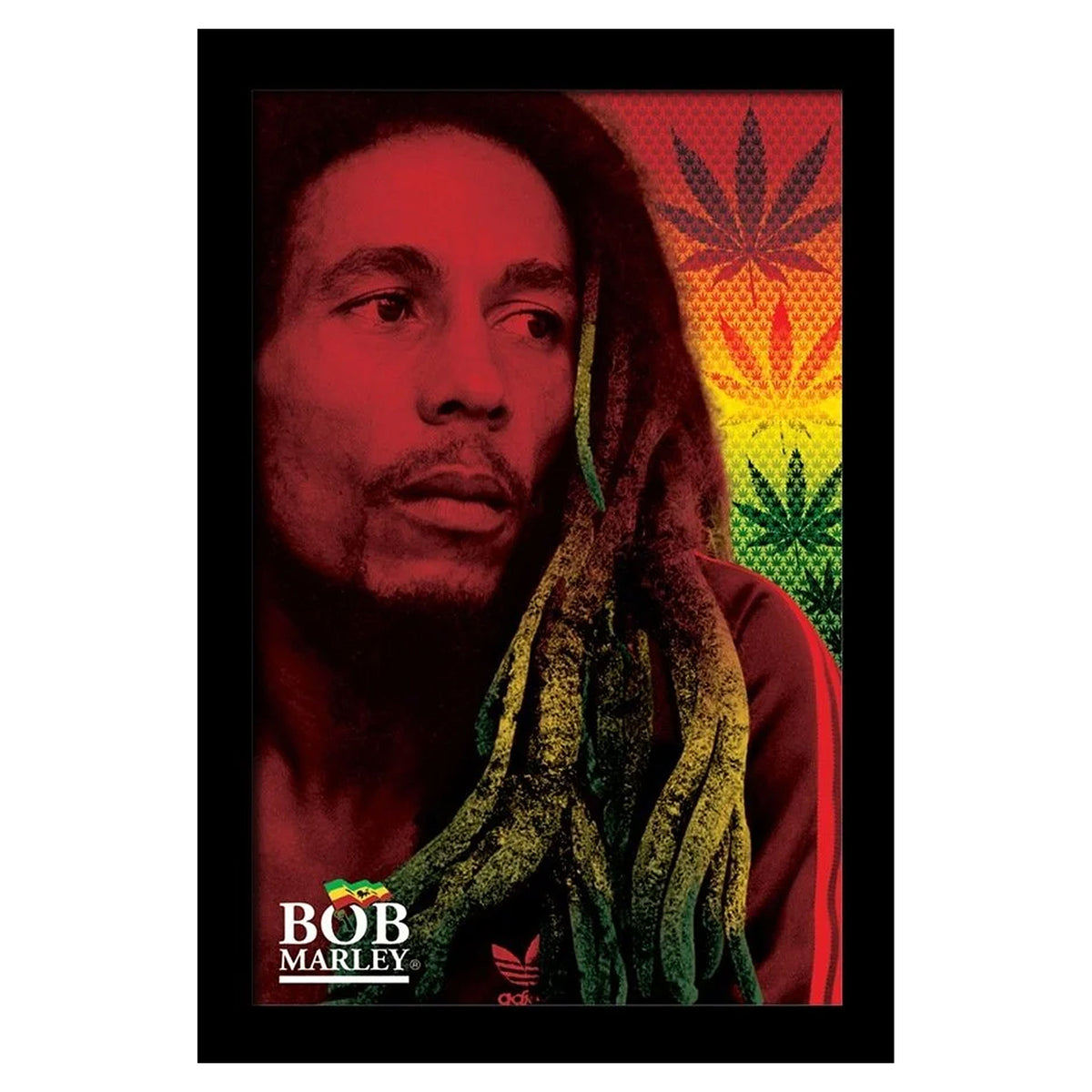 Bob Marley Dreads Framed Wall Art Front
