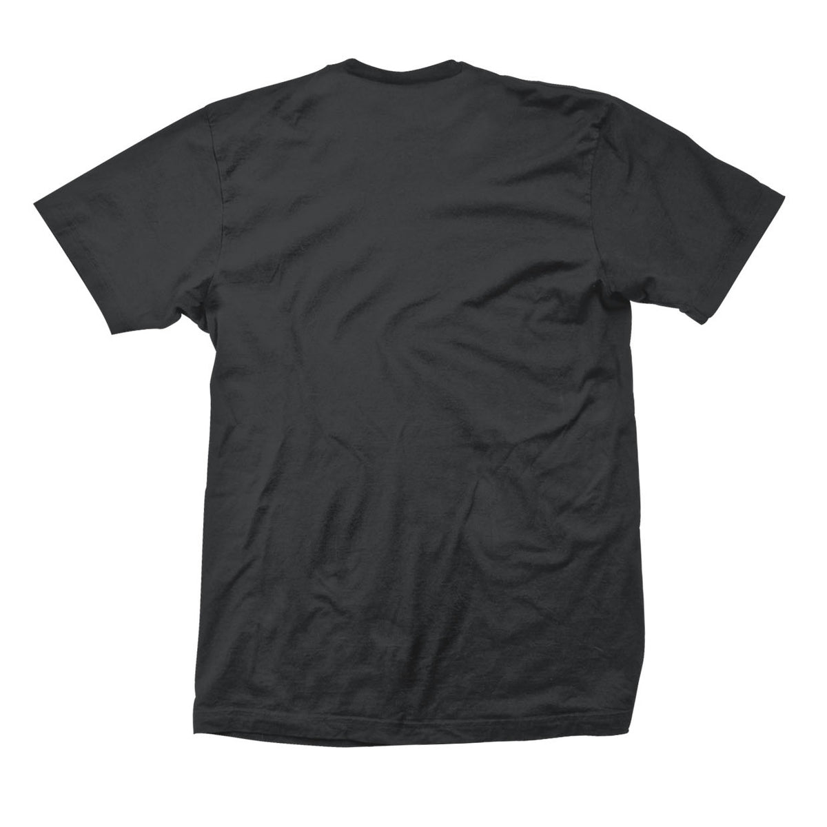 Ruts, The Logo T-shirt Back