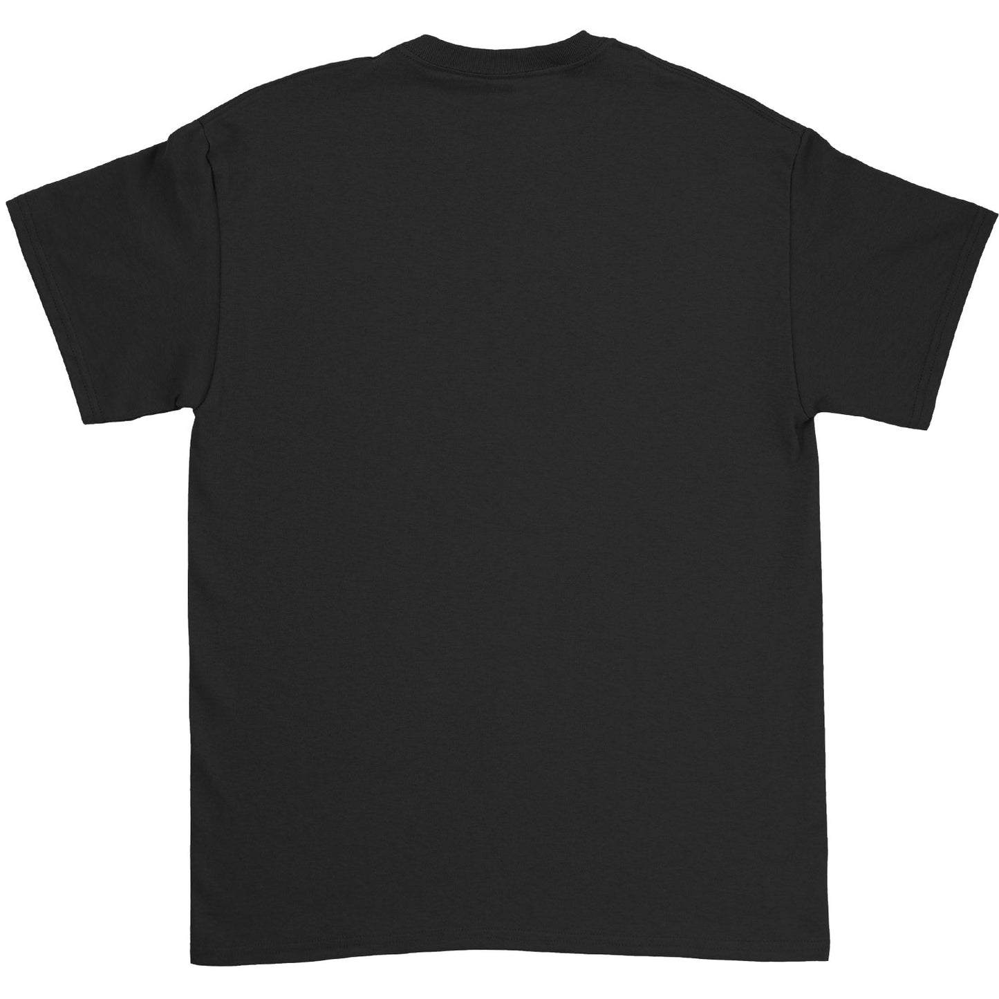 A Perfect Circle Outsider Tee T-shirt Back