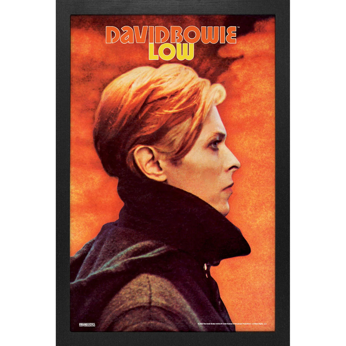 David Bowie Low Framed Wall Art Front