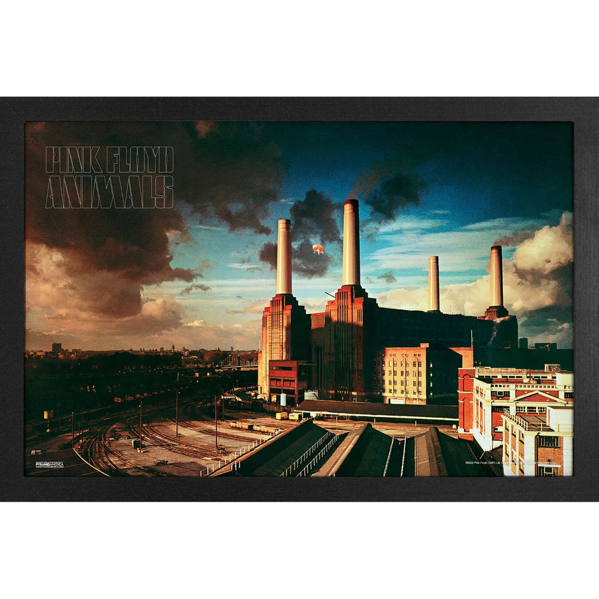 Pink Floyd Animals Framed Wall Art Front