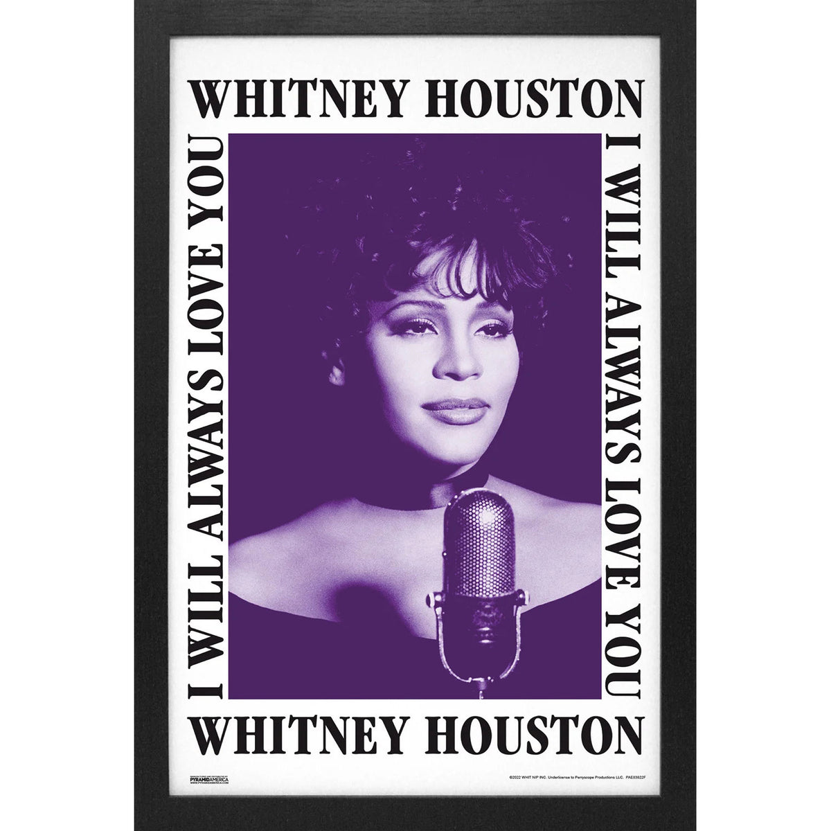 Whitney Houston I will Always Love You Framed Wall Art Front