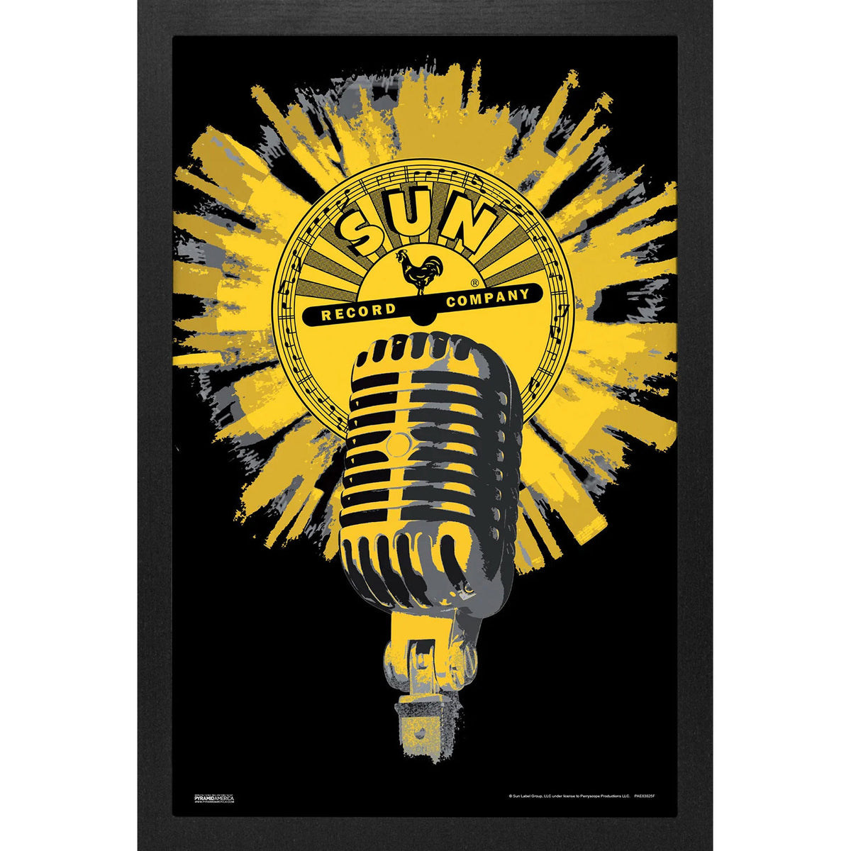 Sun Records Microphone Framed Wall Art Front