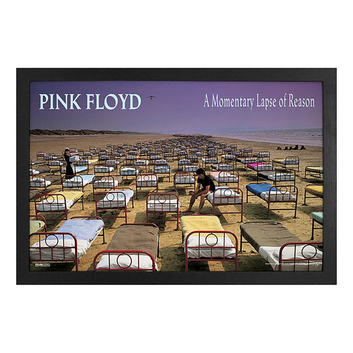 Pink Floyd AMLOR Framed Wall Art Front