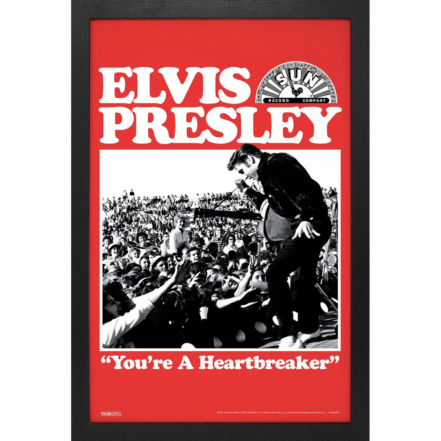 Sun Records - Elvis-Heartbreaker Framed Wall Art