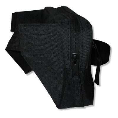 AC/DC Fanny Pack Backpack Back
