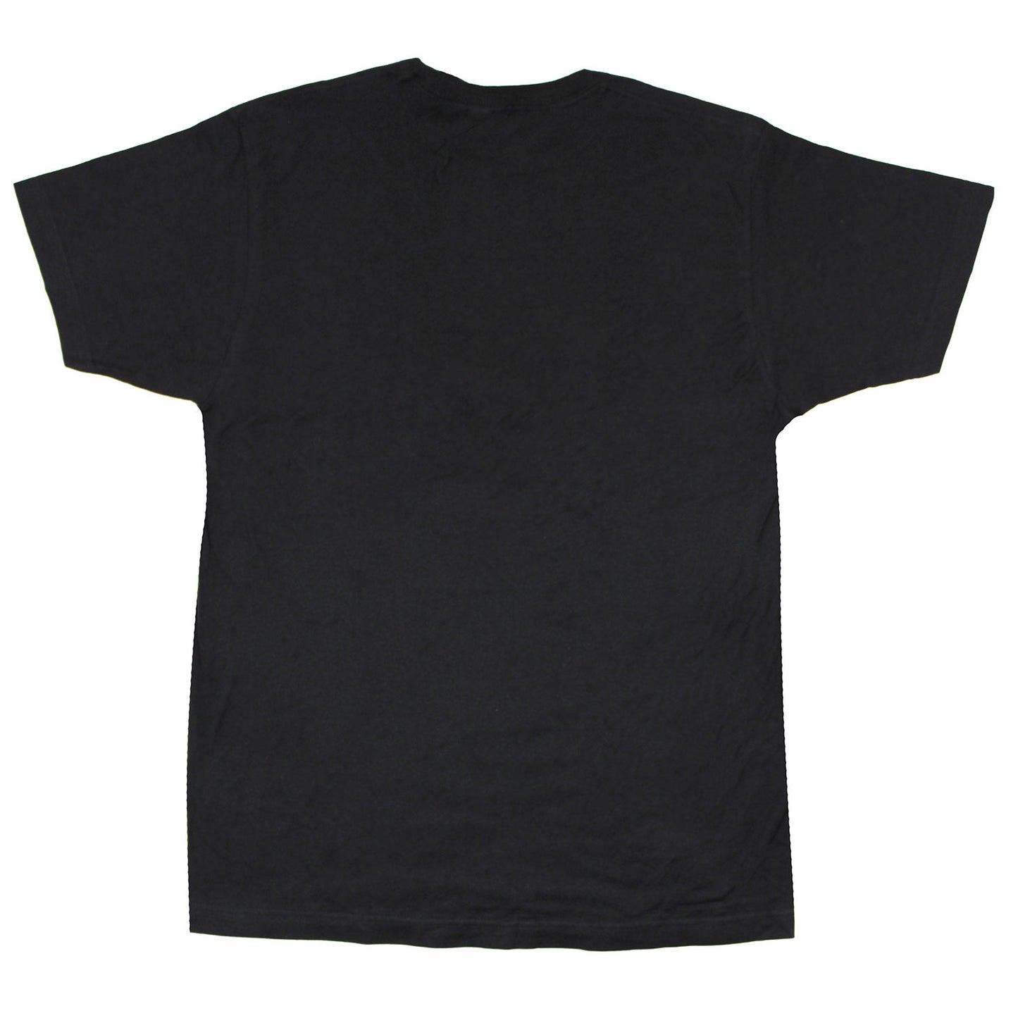 Earth, Whigs, & Fire Tee T-shirt