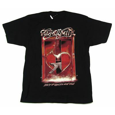 Aerosmith Lovin'' It Up When I''m Goin'' Down T-shirt Front