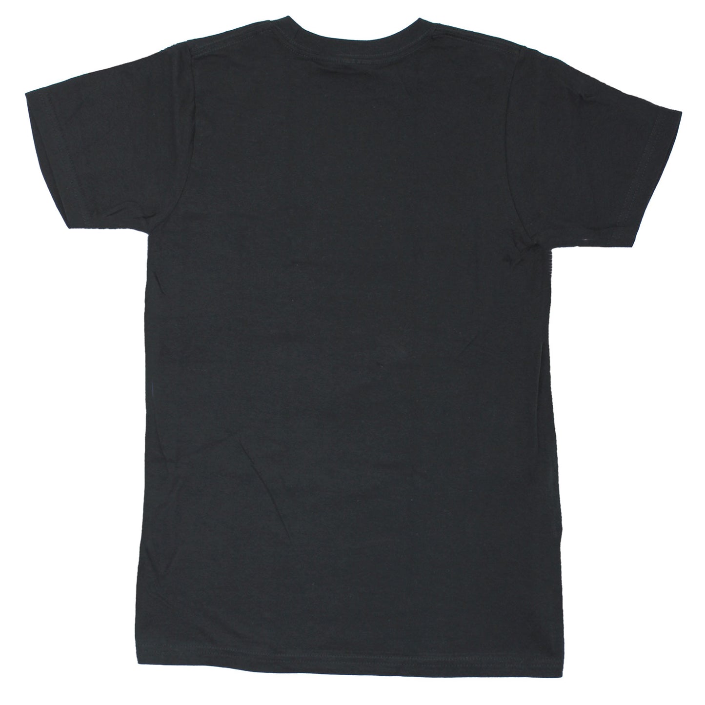 Legend, Mystic, Rebel, Freedom Fighter, Bob Marley T-shirt Back